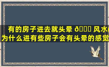 有的房子进去就头晕 🐎 风水(为什么进有些房子会有头晕的感觉)